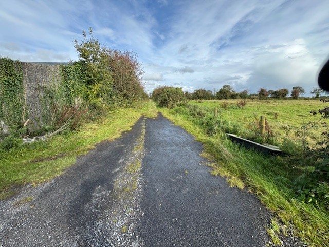 thumbnail_IMG_7233
